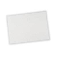 Puig Bump Sheet With Relief (Clear)