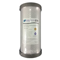 10" x 4.5 - 0.5uM Silver Carbon Filter Block
