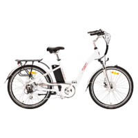 Uni Ryder On Road Electric Bike